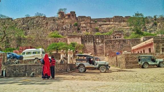 Ranthambore Fort 1